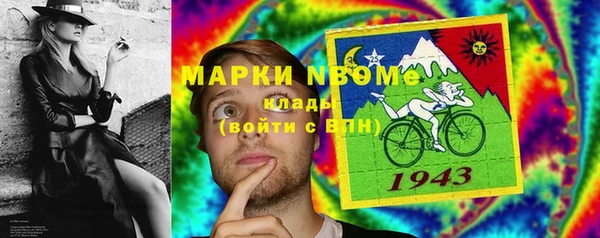 стафф Алзамай